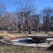 2017-03-08_10-21-36.jpg